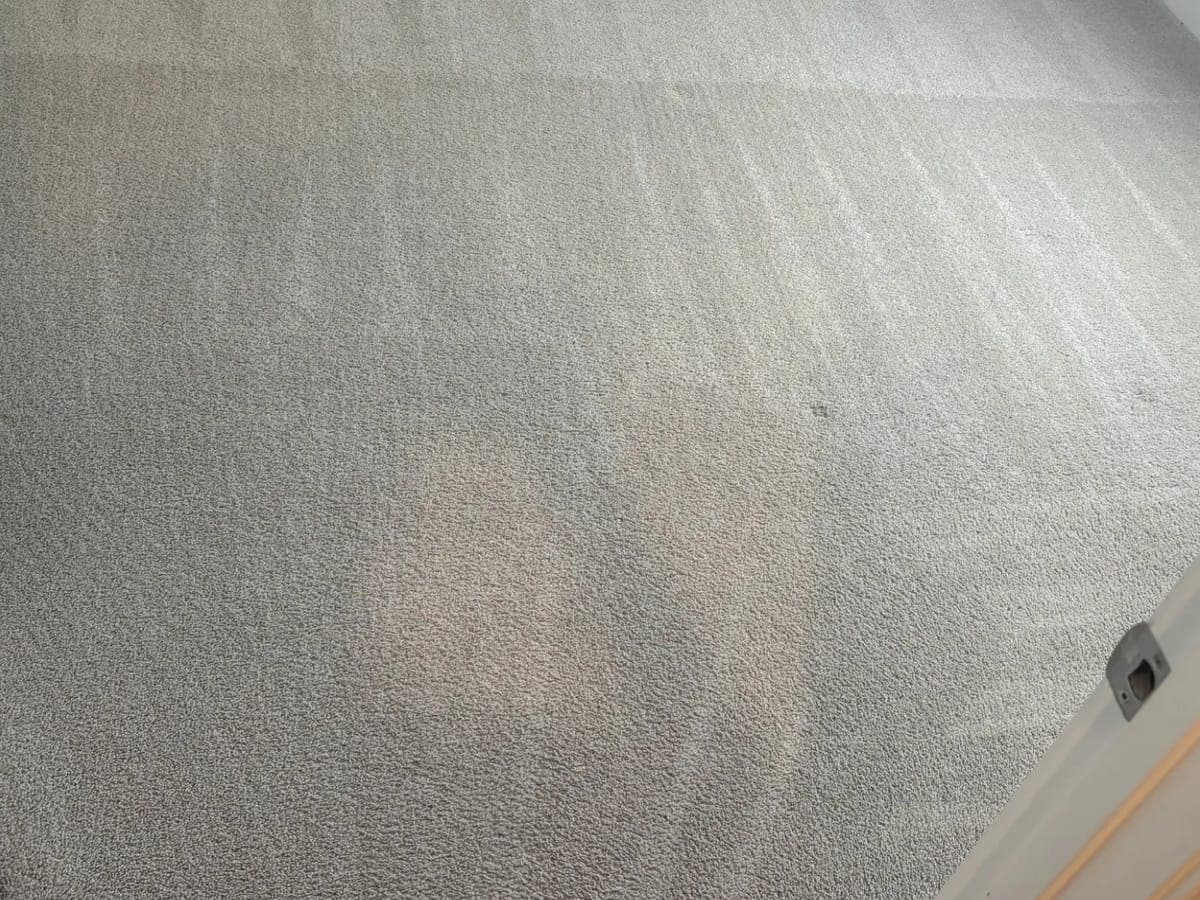 Carpet groomed with fresh cleaning lanes after the final pass