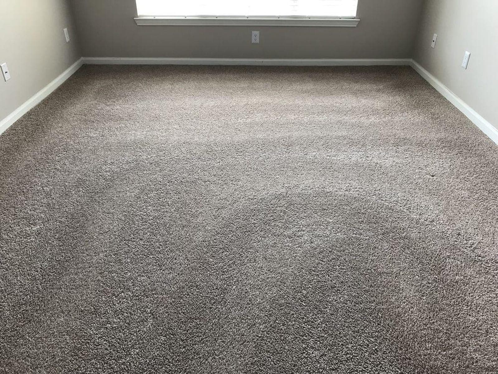 Lower-level room with wall-to-wall carpet and a single window