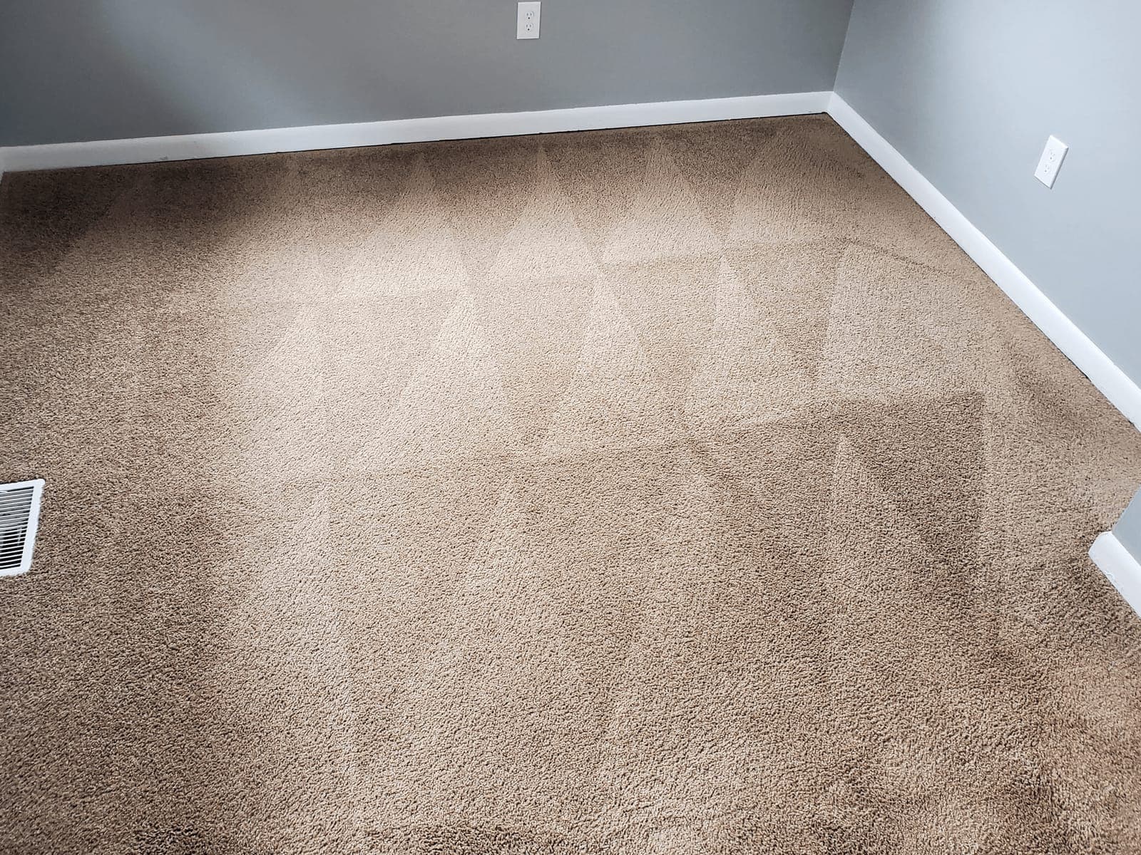 Empty room with tan carpet showing fresh wand marks after drying and cleaning